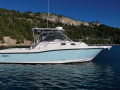 Boston Whaler 305 Conquest Rybářská loď