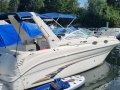 Sea Ray 260 DA Bateau de sport