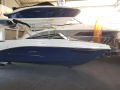 Sea Ray Sunsport (SSE) 230 & Trailer (1. Hand) Barco cabinado