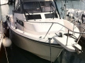 Grady White Boats 300 Marlin WA Rybářská loď