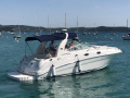 Sea Ray 315 Sundancer Motoryacht