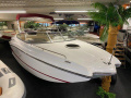 Rinker MTX 220 Sportboot