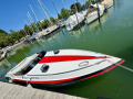 Seebold Eagle Silver 265 Bateau offshore