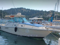 Pursuit 3000 Express Fischerboot
