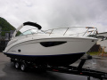 Regal 26 EXPRESS MODELL 25 Sport boat