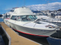 RIVA BERTRAM 25 SPORT FISHERMAN Flybridge