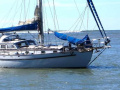 Tayana 37 Pilothouse Yacht à voile