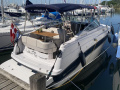 Chaparral 240 Signature Urheiluvene