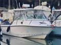 Edge Water 265 EX Sportsbåd