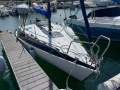 Greyhound Daysailer