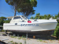 Sanprospero Caponord Oceanic 33 Pilothaus