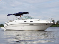 Sea Ray 255 Sundancer Sportboot