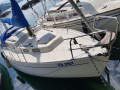 Albin Marine Vega Yacht à voile