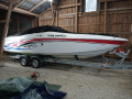 Baja 245 Boss Barco deportivo