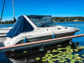 Wellcraft Martinique 2600 Kajütboot