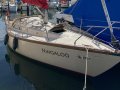 Bianca Yachts Commander 31 Yacht à voile