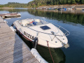 Bayliner 192 Capri Cuddy Barco deportivo