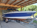 Mercury Sea Ray 200 br Bowrider