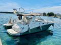 Sea Ray 315 Sundancer Yacht à moteur