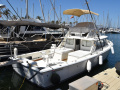 Bertram 31 FLY Cruiser Vissersboot