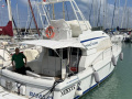 Mochi Craft DOMINATOR 34 Flybridge