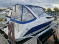 Daycruiser Sportboot