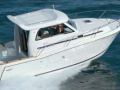 Starfisher 840 Fischerboot