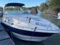 Cruisers Yachts 280 CXI Express Kajütboot