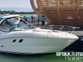 Sea Ray 335 Sundancer Sportboot