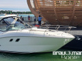 Sea Ray 335 Sundancer Sportboot