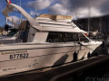 Bayliner 2858 CLASSIC Flybridge