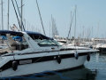 Sea Ray 370 SUNDANCER Moottorijahti