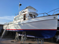 American Marine grand banks 36 Yacht à moteur