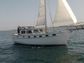 Island Trader 40 Motorlu Yelkenli