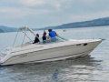 Regal Ventura 8.3 SC Cuddy Sportboot