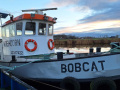 BobCat 1680 Segelyacht