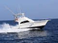 Luhrs 41 Convertible Fischerboot