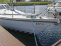 Van de Stadt 34 Zeiljacht
