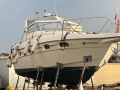 Sealine 365 Iate a motor