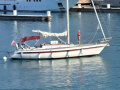 Dullia Pupa 36 Regattaboot
