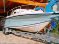 Angler Boat 2500 Walkaround Sportboot