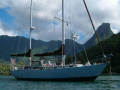 Frans Maas Calypso 43 Segelyacht