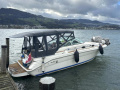 Sea Ray 270 DA Bateau de sport