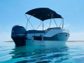 Trimarchi  Dylet 85 + Honda BF250 Bateau à console