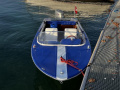 Schweizer Bateaux Magnifique petit canot moteur Runabout