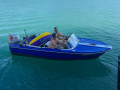 Schweizer Bateaux Magnifique petit canot moteur Runabout