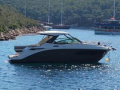 Sea Ray 320 DAE Sundancer Kabinebåd