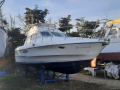Birchwood TS 340 Flybridge