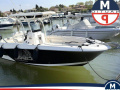 Wellcraft 242 Fisherman Konsolenboot