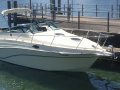 Celebrity 265 Sport Cruiser Kajütboot